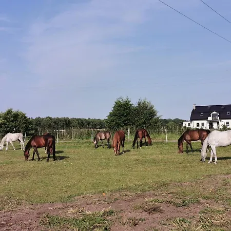 Nowecin Holiday home Leba