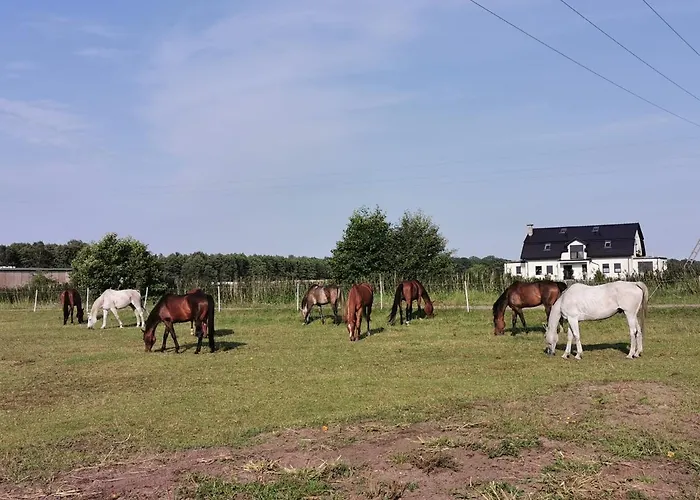 Nowecin Nyaraló Łeba